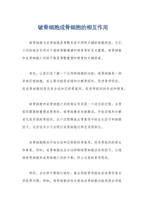 破骨细胞成骨细胞的相互作用