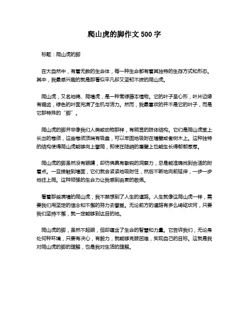 爬山虎的脚作文500字