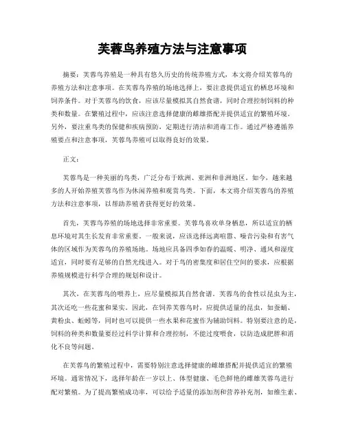 芙蓉鸟养殖方法与注意事项