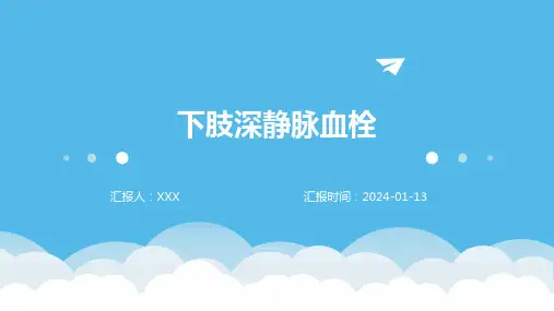 下肢深静脉血栓介绍PPT培训课件