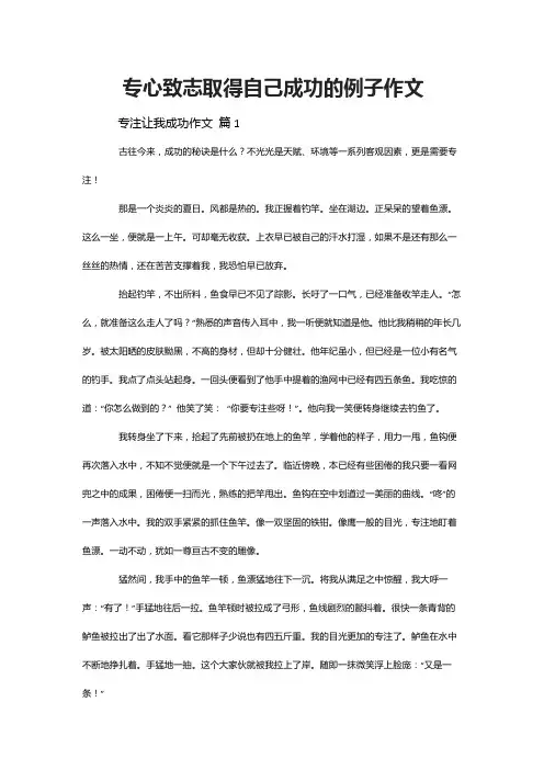专心致志取得自己成功的例子作文
