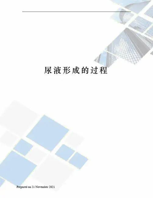尿液形成的过程
