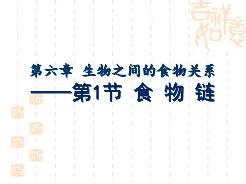 苏科版生物七上6.1《食物链课件