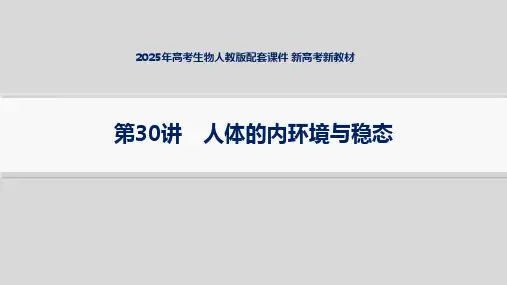 2025年高考生物人教版配套课件 新高考新教材 第30讲 人体的内环境与稳态