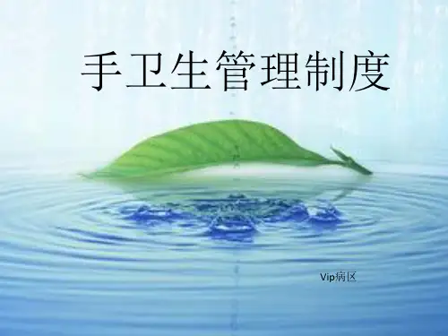 手卫生管理制度(PPT演示模板)