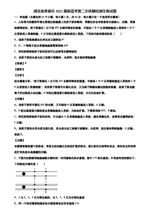 湖北省孝感市2021届新高考第二次质量检测生物试题含解析