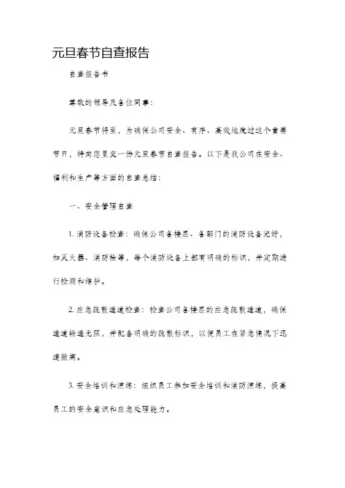 元旦春节自查报告