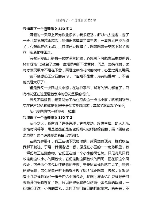 我懂得了一个道理作文350字