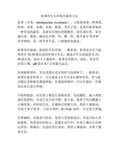 秋葵的生长环境及栽培方法