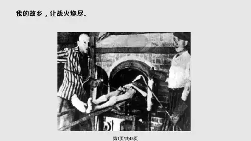 高中语文必修奥斯维辛集中营实用PPT课件