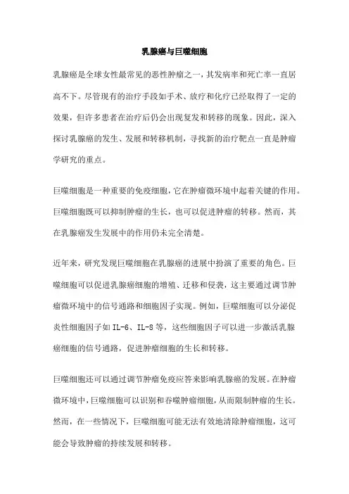 乳腺癌与巨噬细胞