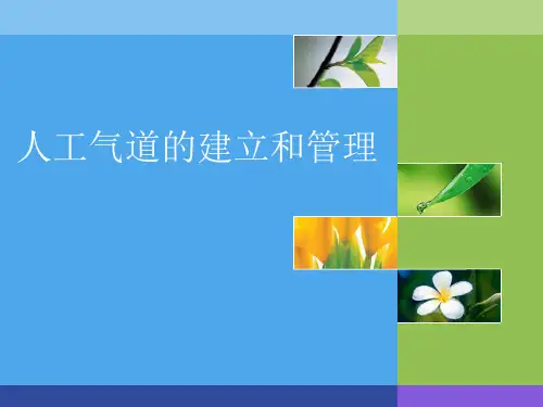 人工气道的建立和管理PPT课件