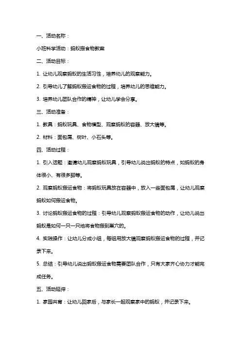 小班科学活动蚂蚁搬食物教案