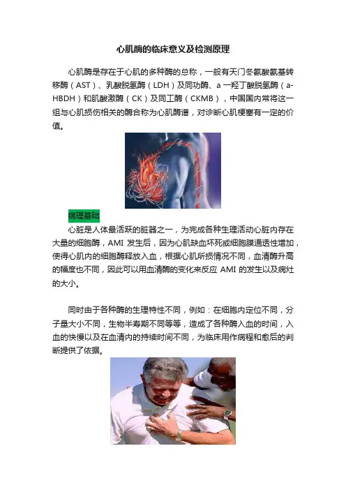 心肌酶的临床意义及检测原理