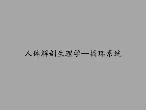 人体解剖生理学--循环系统全