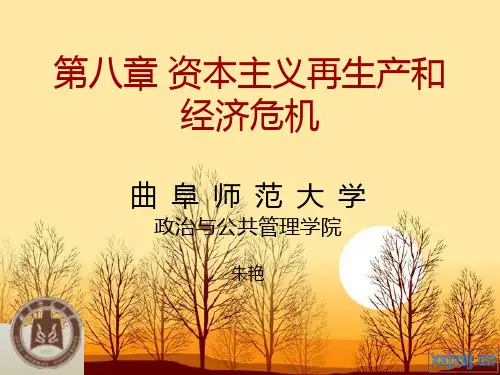 政治经济学资本主义再生产和经济危机