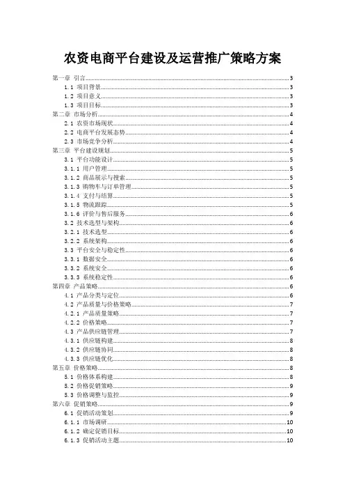 农资电商平台建设及运营推广策略方案