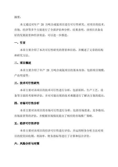 年产20万吨合成氨项目可行性研究报告
