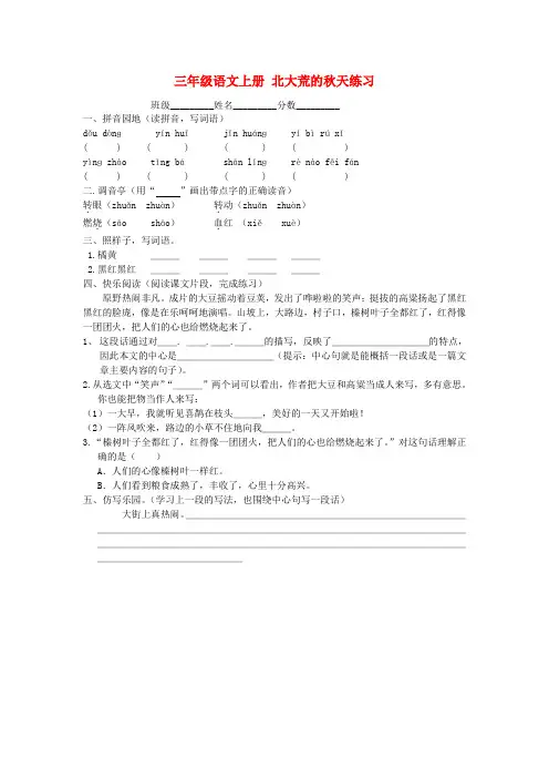 三年级语文上册 北大荒的秋天练习 苏教版