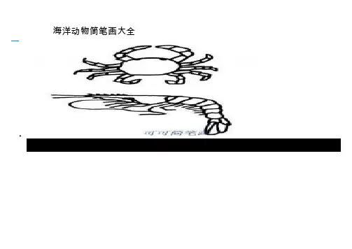海洋动物简笔画大全