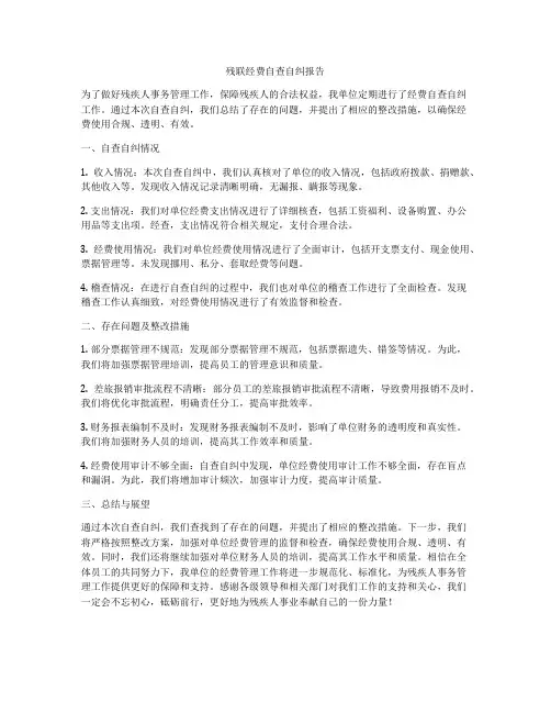残联经费自查自纠报告
