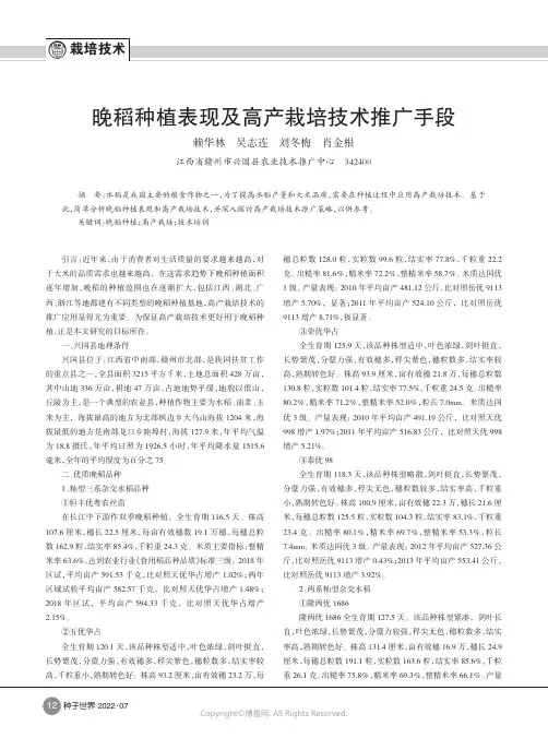 晚稻种植表现及高产栽培技术推广手段
