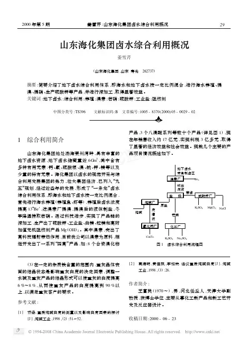 山东海化集团卤水综合利用概况(1)