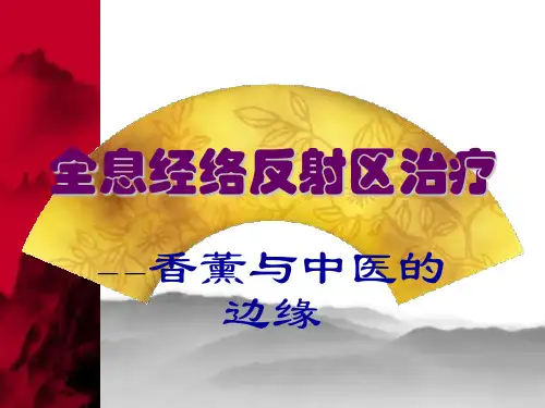 全息经络脊椎反射区治疗PPT课件