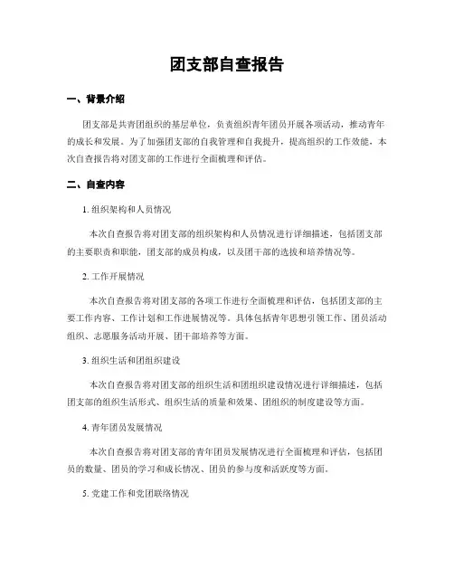 团支部自查报告