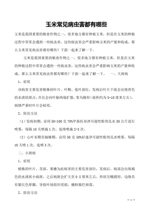 玉米常见病虫害都有哪些