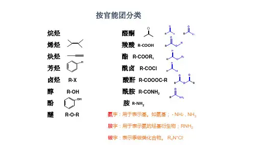 有机化学有机物的命名