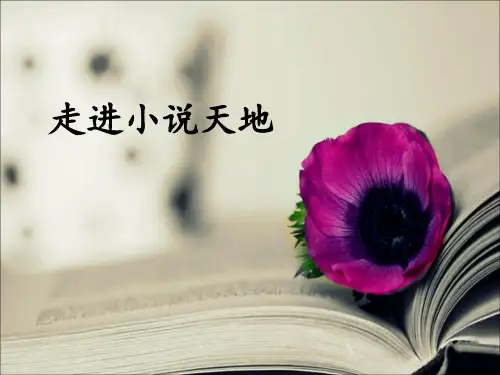 九上语文综合性学习走进小说天地