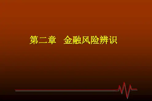 第二章金融风险辨识