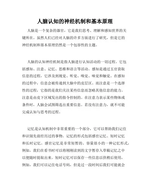 人脑认知的神经机制和基本原理