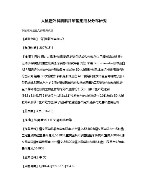 大鼠腹外斜肌肌纤维型组成及分布研究