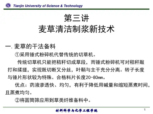 制浆造纸新技术讲座第三讲