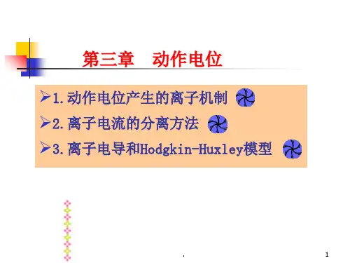 动作电位PPT课件