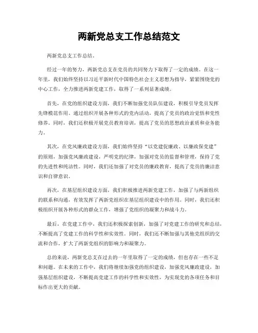 两新党总支工作总结范文