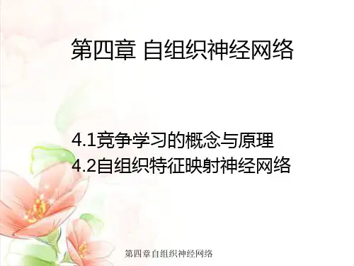 第四章自组织神经网络