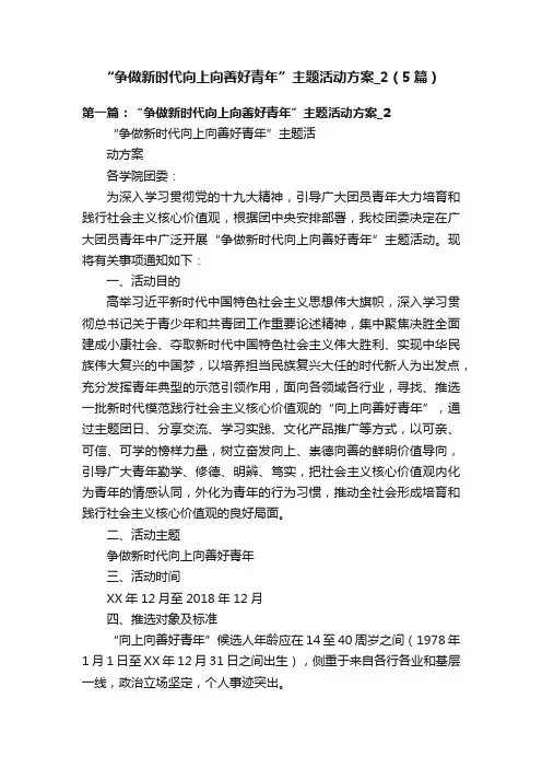 “争做新时代向上向善好青年”主题活动方案_2（5篇）