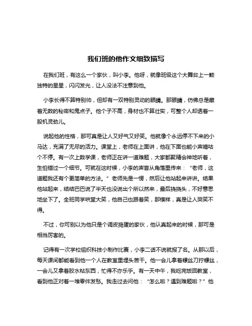 我们班的他作文细致描写