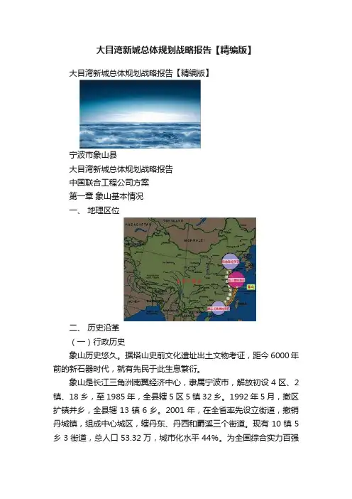 大目湾新城总体规划战略报告【精编版】