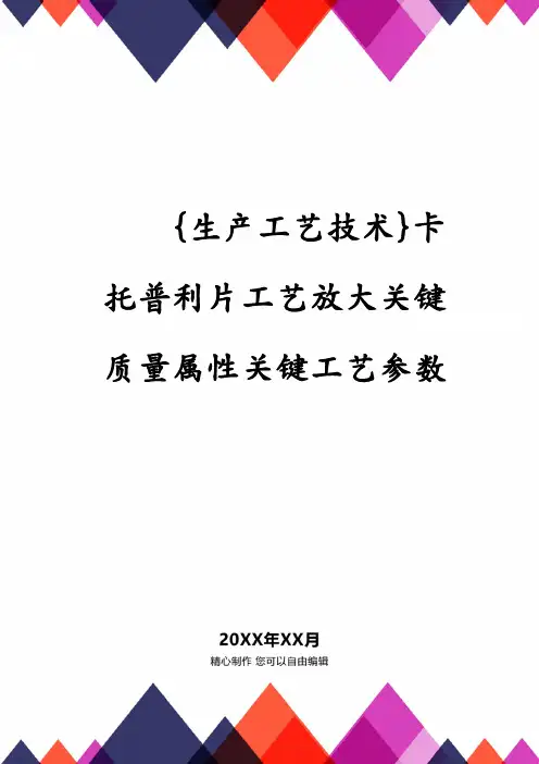 {生产工艺技术}卡托普利片工艺放大关键质量属性关键工艺参数