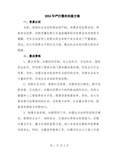 2024年严打整治实施方案