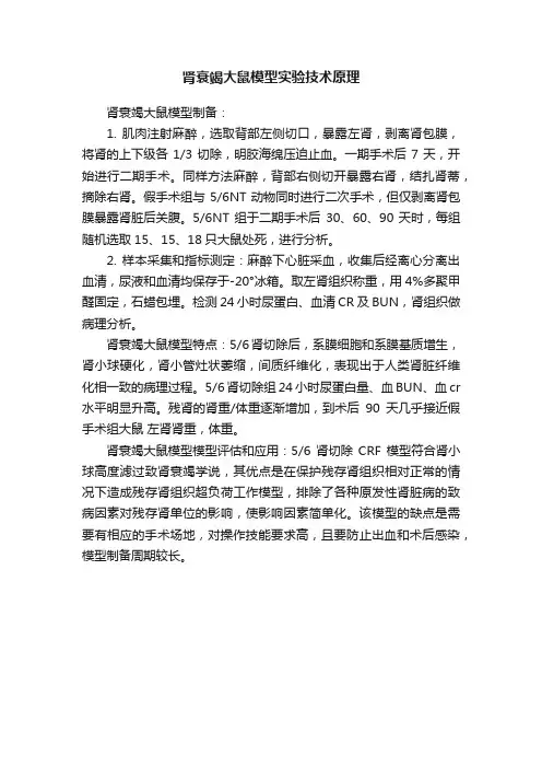 肾衰竭大鼠模型实验技术原理