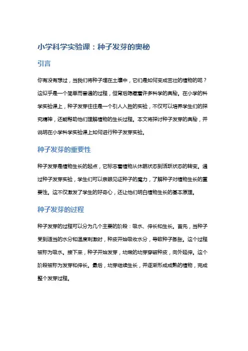 小学科学实验课：种子发芽的奥秘
