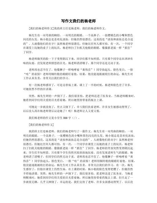 写作文我们的杨老师