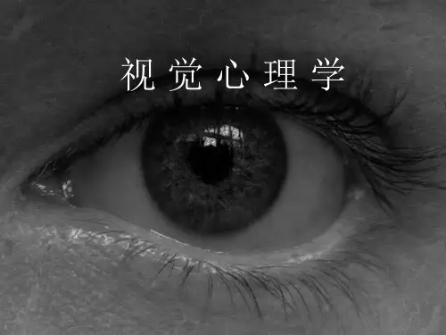 视觉心理学