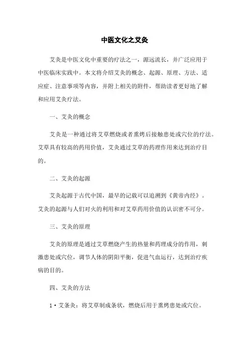 中医文化之艾灸