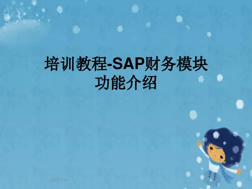 培训教程-SAP财务模块功能介绍